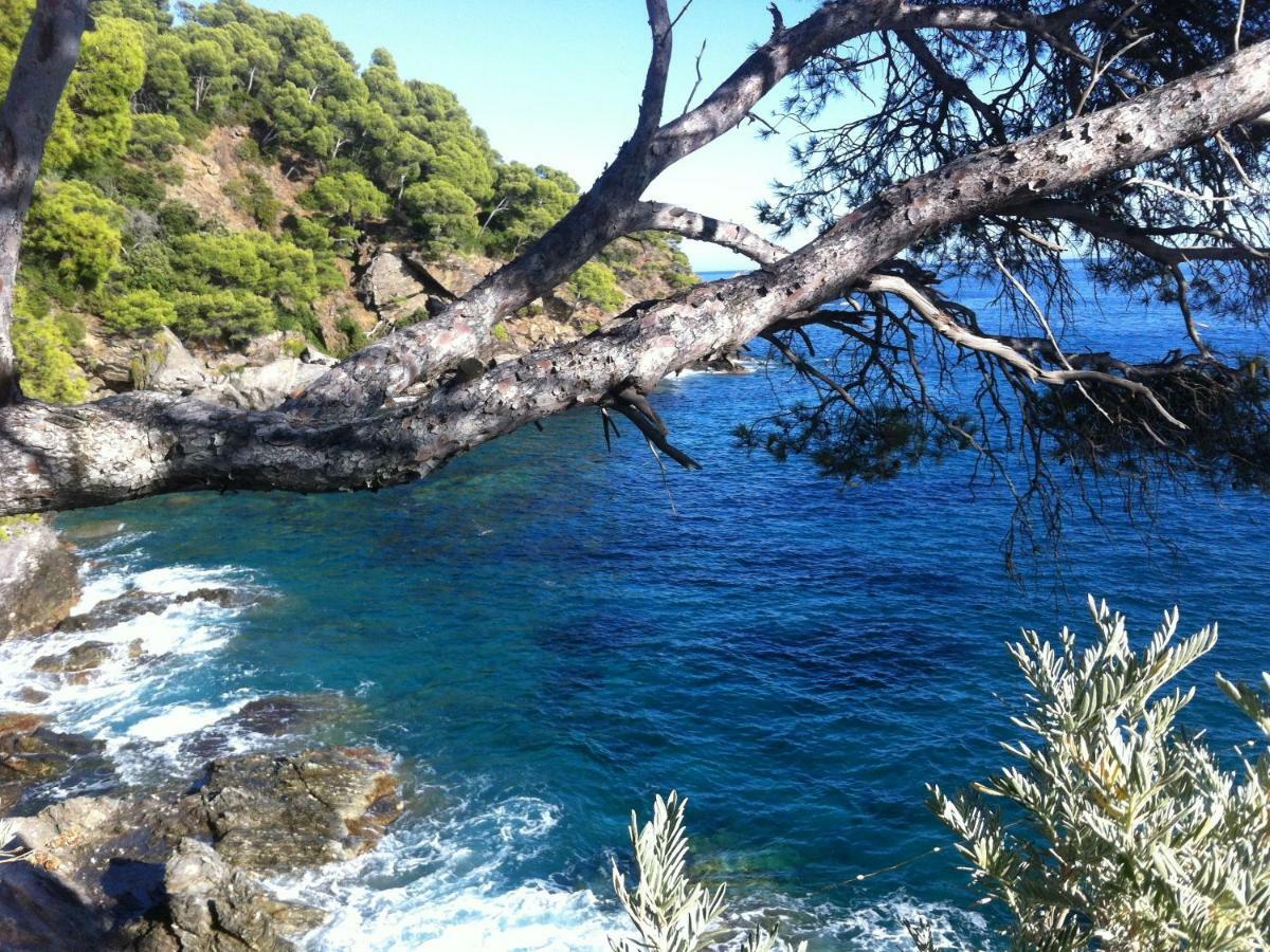 Villa De Vacances Au Calme Proche De La Mer La Londe-les-Maures Buitenkant foto