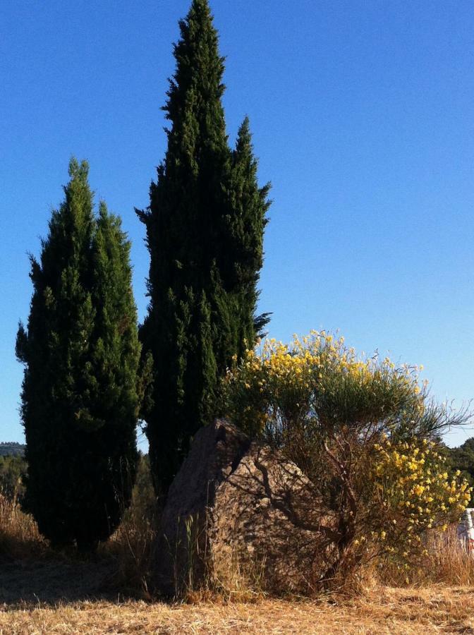 Villa De Vacances Au Calme Proche De La Mer La Londe-les-Maures Buitenkant foto